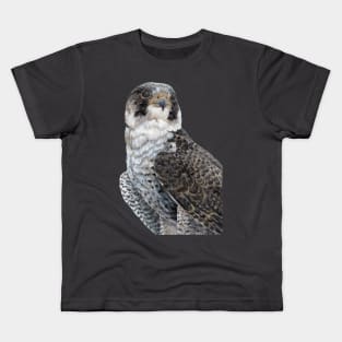 The Guardian - Peregrine Falcon with black background Kids T-Shirt